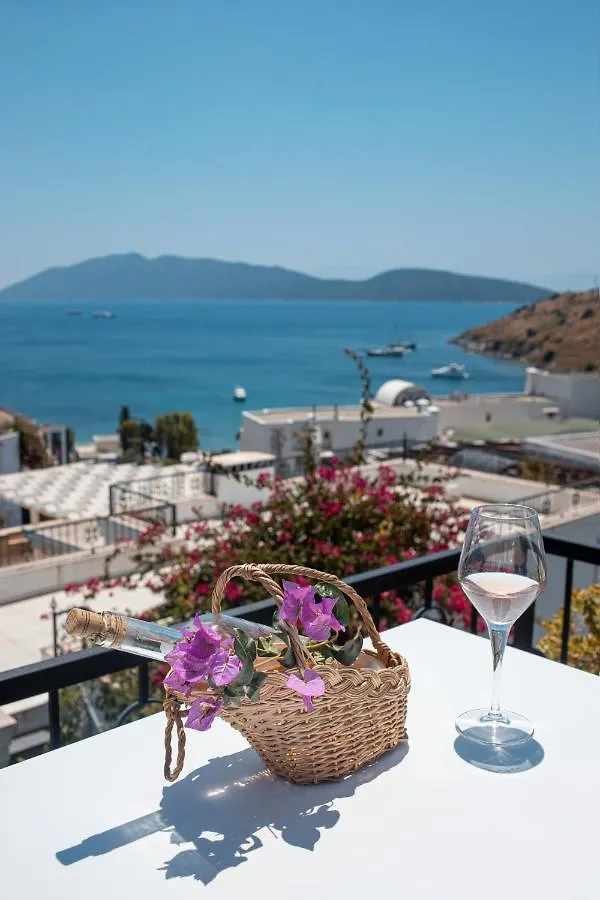 Casa Caria Boutique Hotel Αλικαρνασσός 3*,