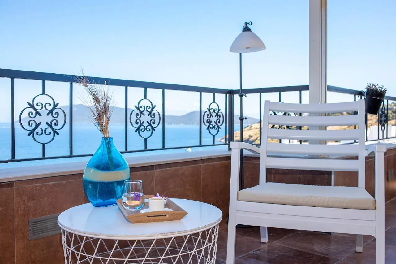 Casa Caria Boutique Hotel Αλικαρνασσός 3*,