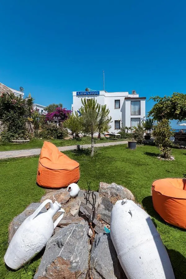 Casa Caria Boutique Hotel Αλικαρνασσός